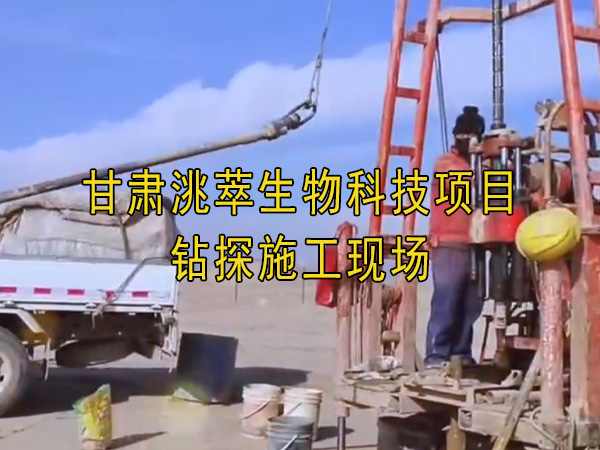 香蕉视频导航大全